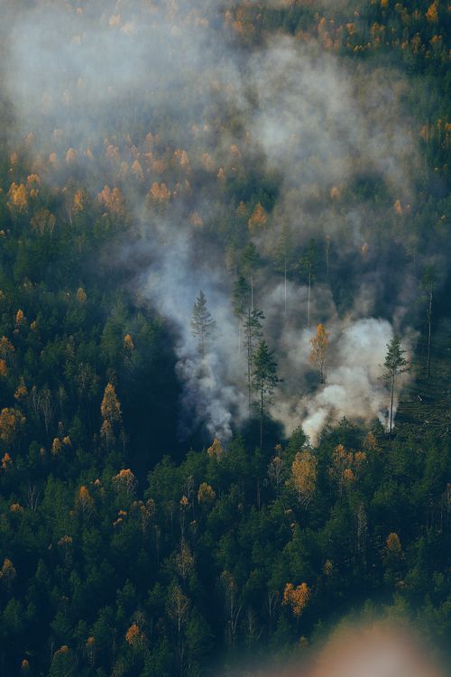 Patagonia en llamas: 230.000 hectáreas y las lecciones que los cuarteles deben procesar